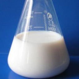 化學(xué)從業(yè)者的視角 羧基丁苯乳液的創(chuàng)新與應(yīng)用價(jià)值